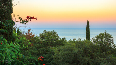 Ливадия. Вечер.