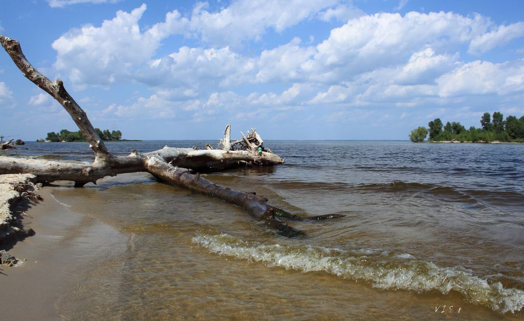 Монстр - сказка фантазия