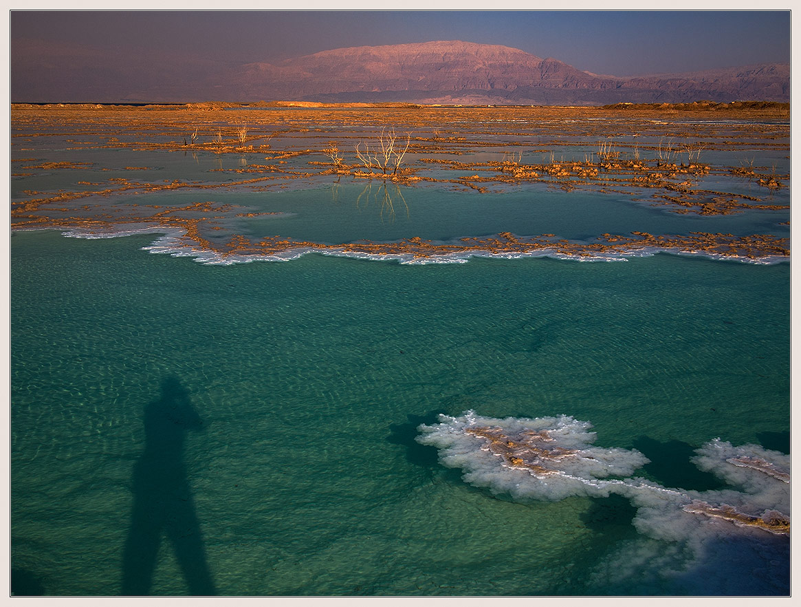 The Dead Sea