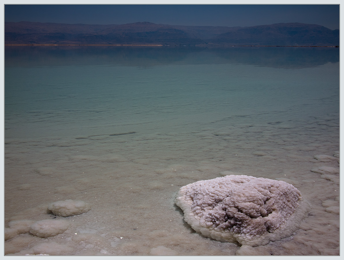 The Dead Sea