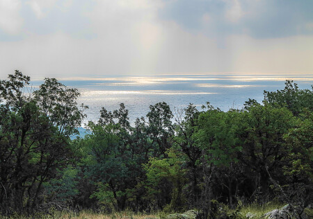 отблески надежды в пасмурный день