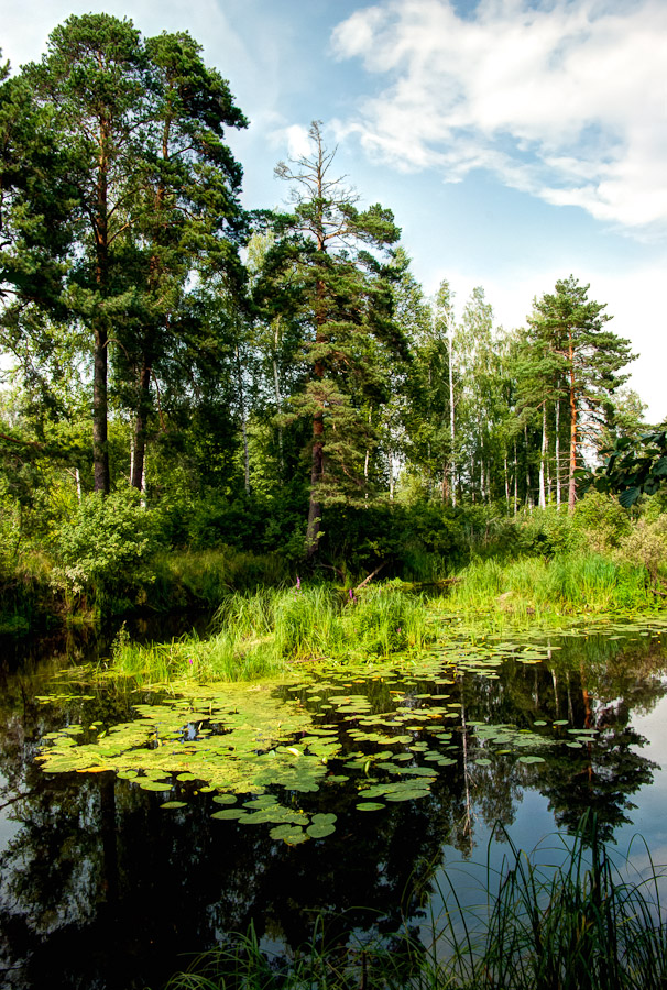 Мещера, река Поль