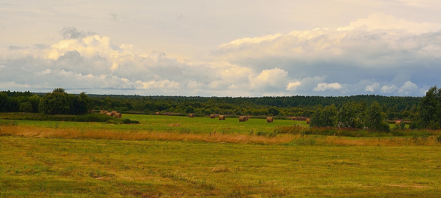 средняя полоса...