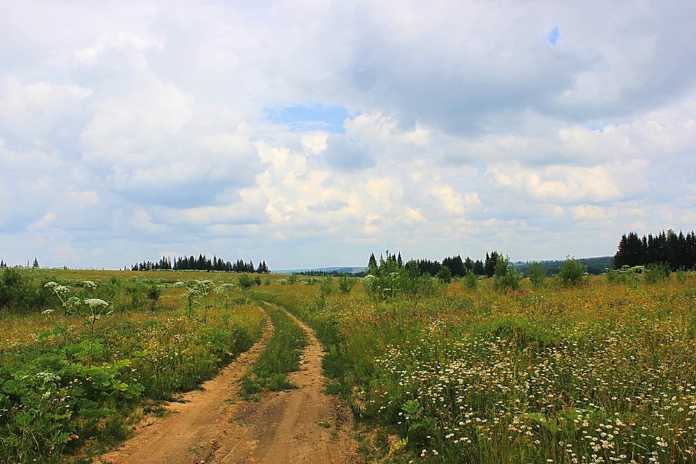 Просёлочная дорога