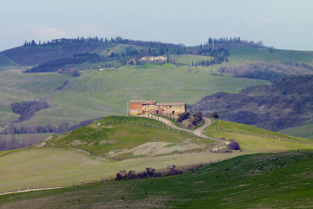 G:FotoWEB130326-CF002805-c1.jpg