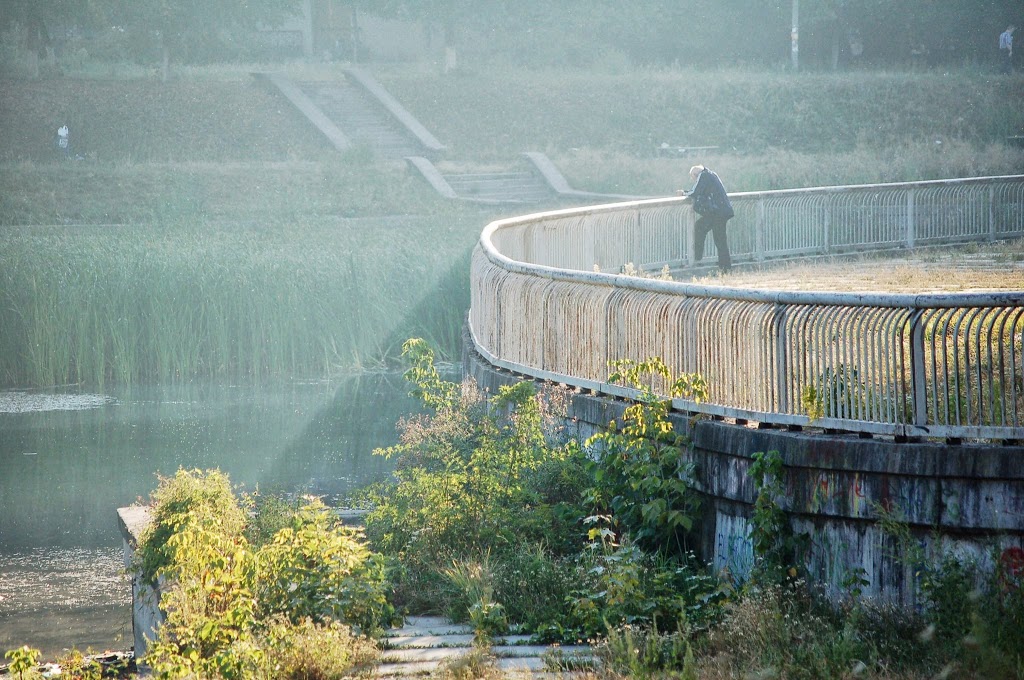 Summer morning