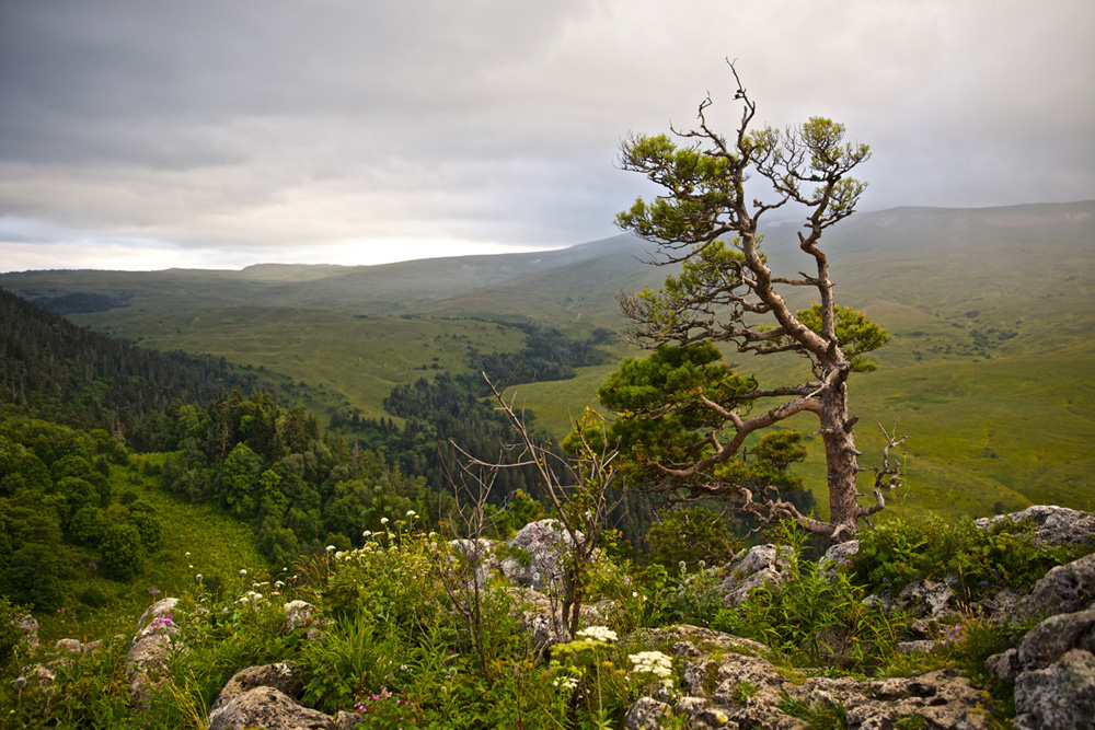 Плато Лагонаки