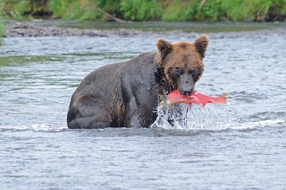 Catch of the day