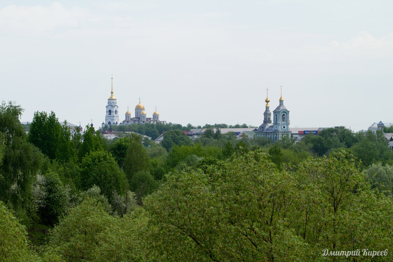 Центр Владимира