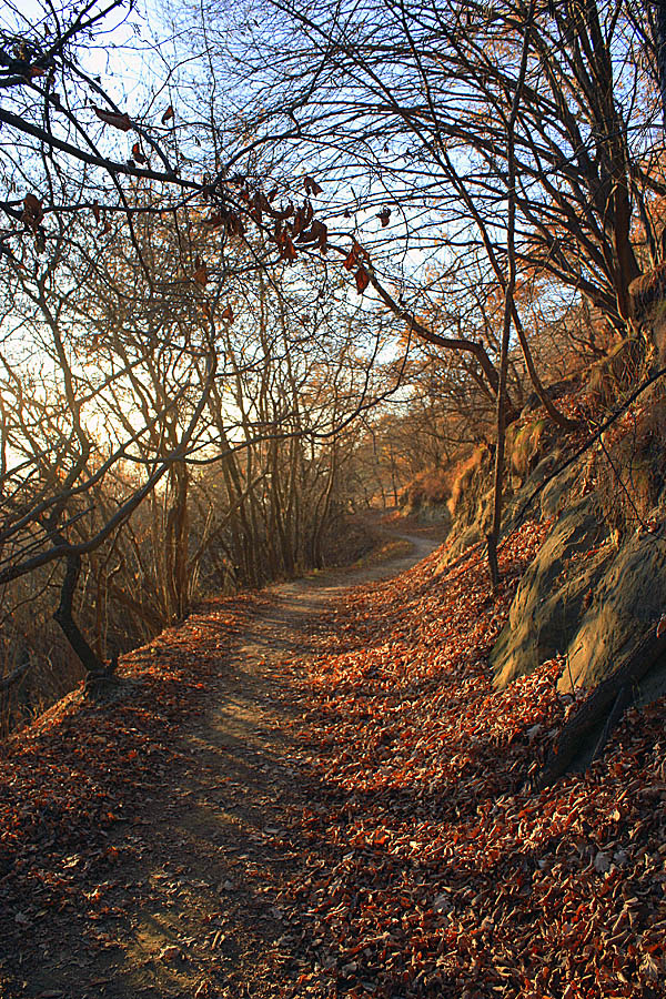 горная тропа