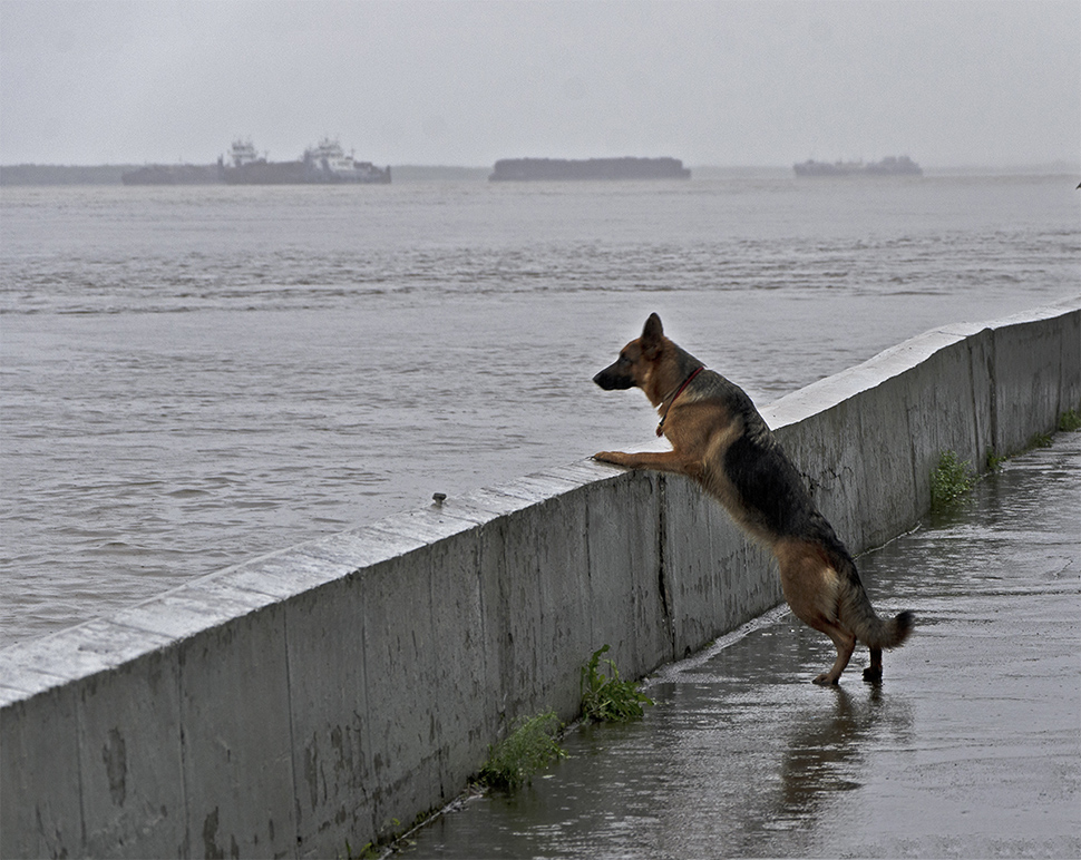 Большая вода в Хабаровске...