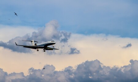 В сопровождении