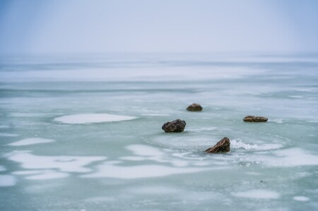 Замерзший залив