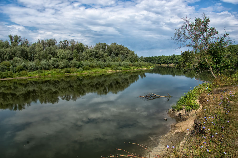 Хоперский заповедник