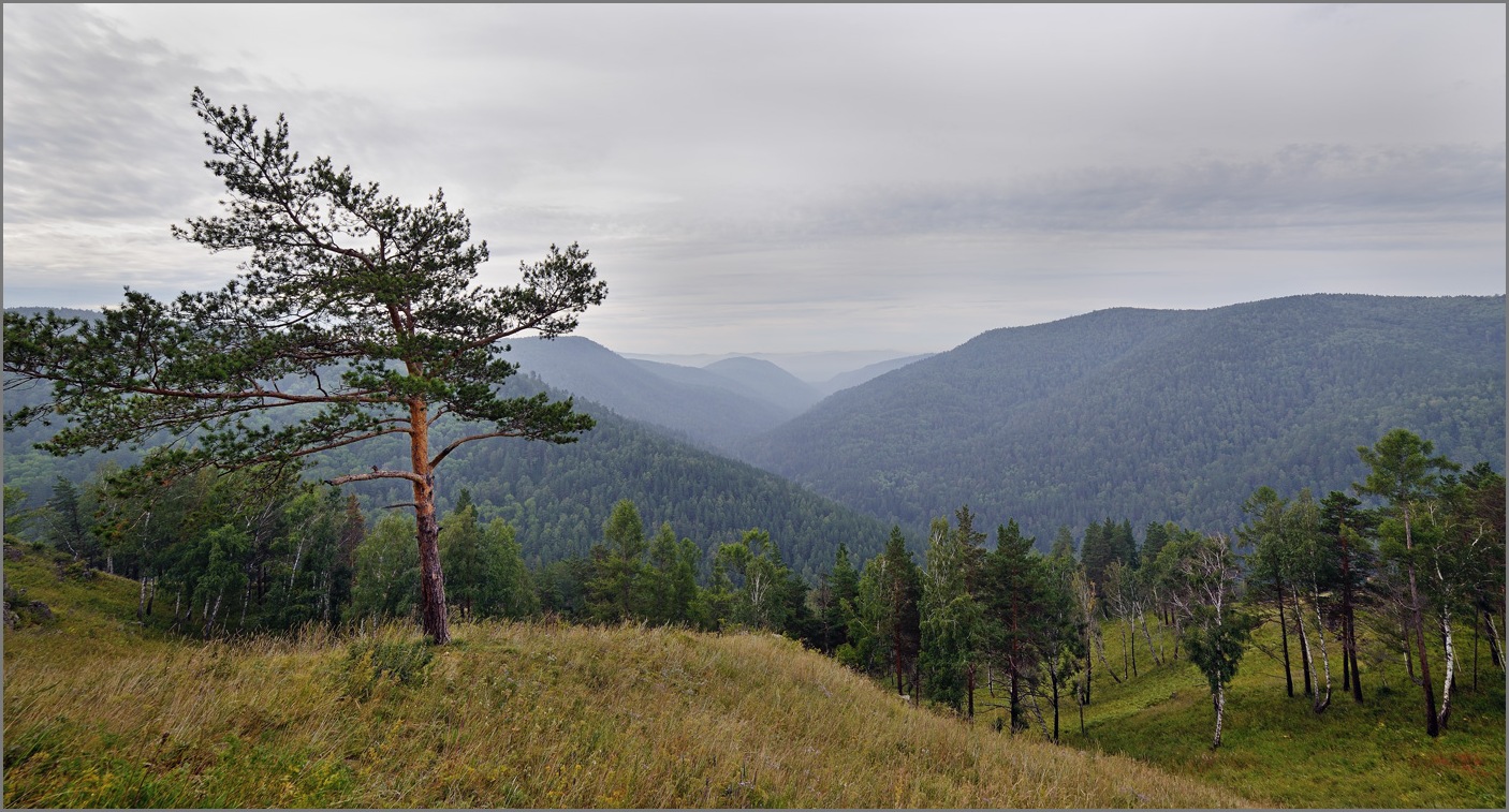 В конце лета