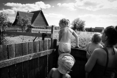 Аисты прилетели