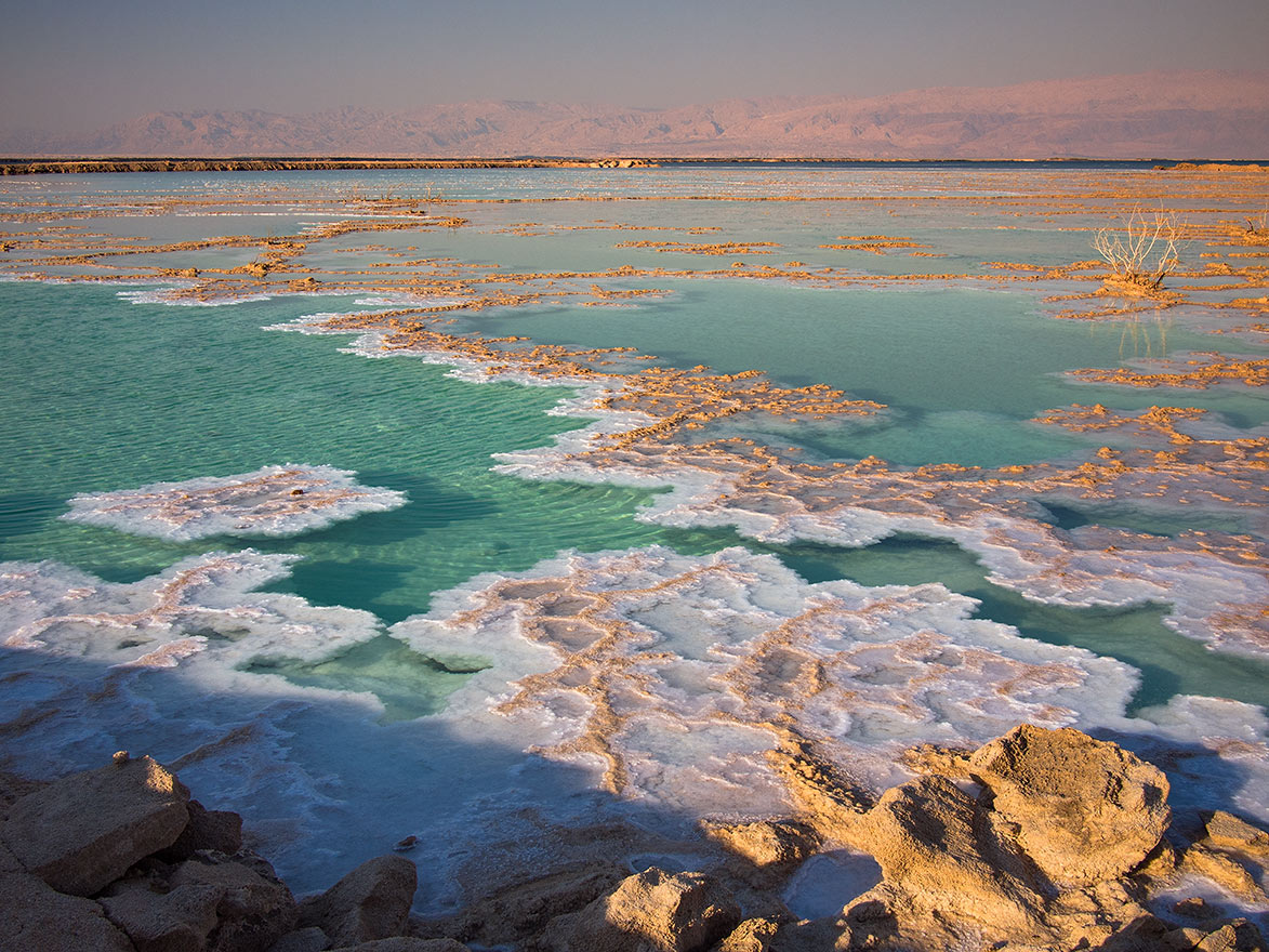 The Dead Sea