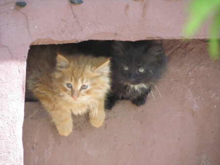 Two from the basement