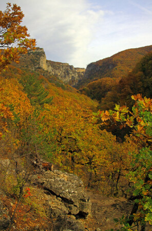 Большой каньон Крыма. Осень