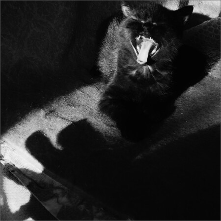 Хищник III ( horror )