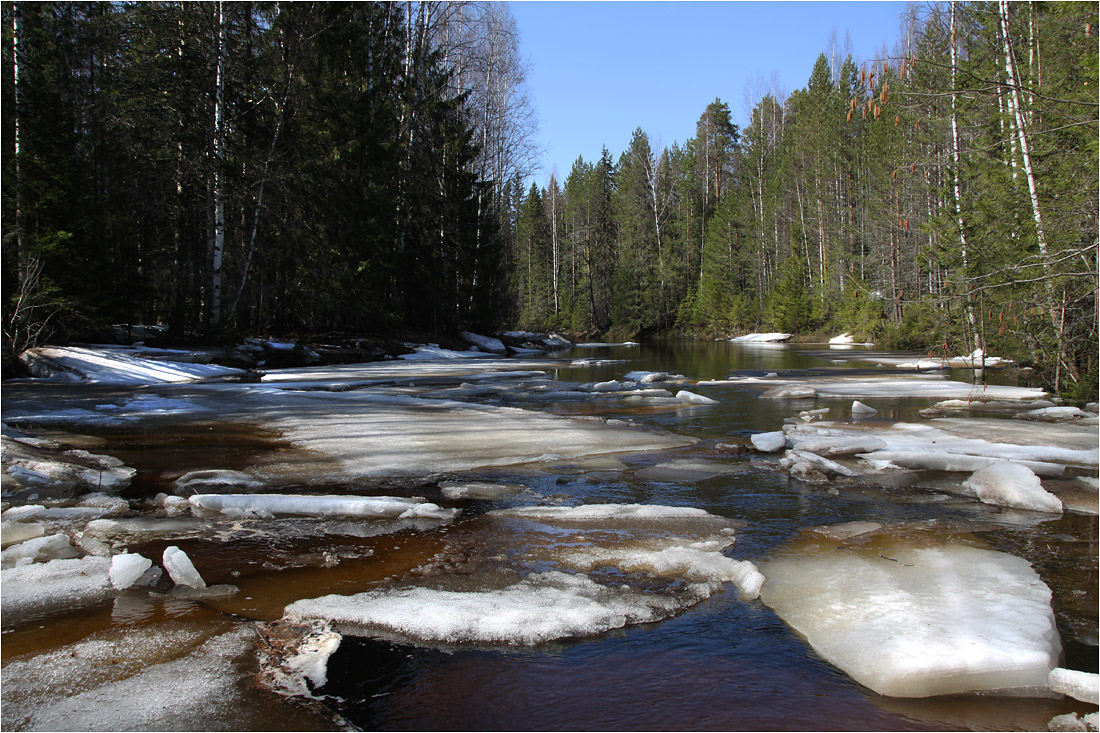 Ледоход