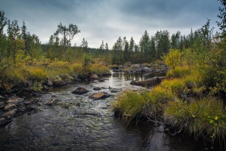 Дыхание осени