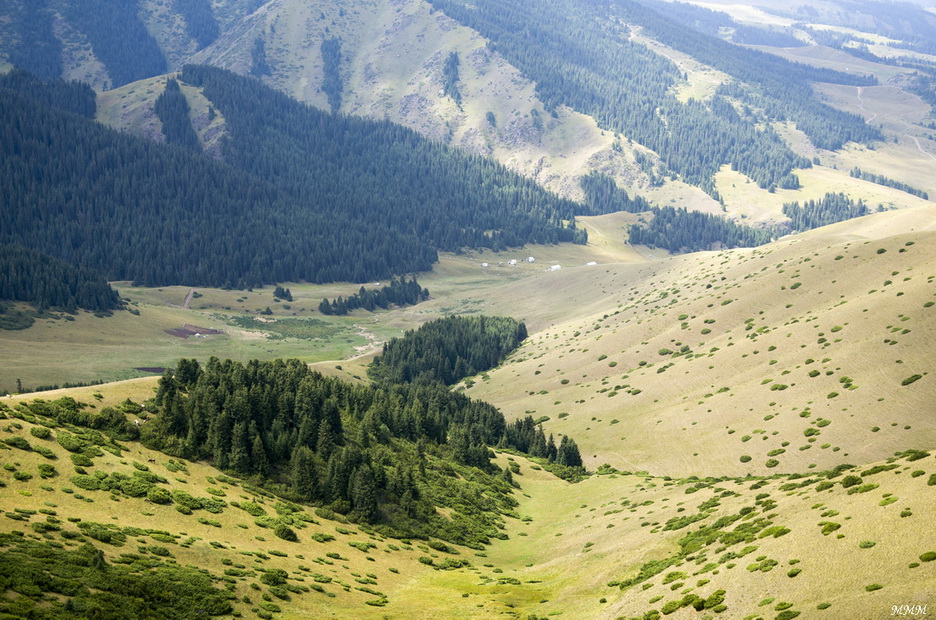 Плато Ассы