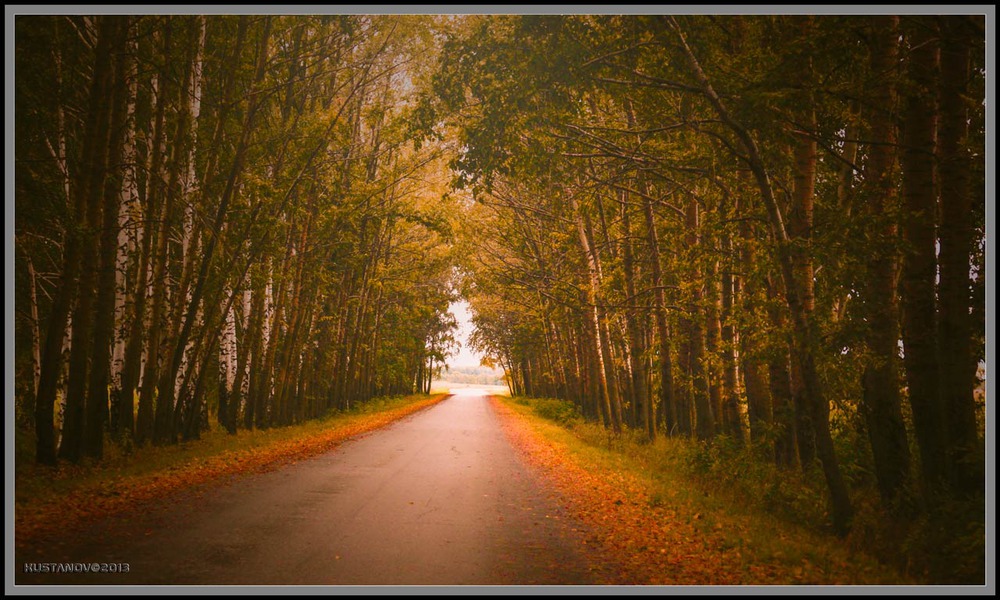 Autumn alley