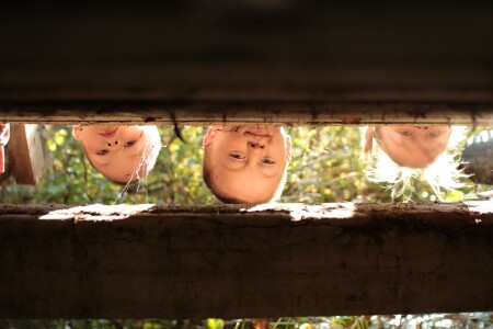 Любопытство. Что там под мостом?