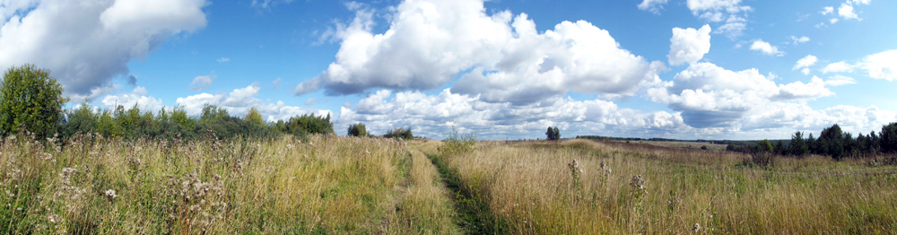 Ранняя осень