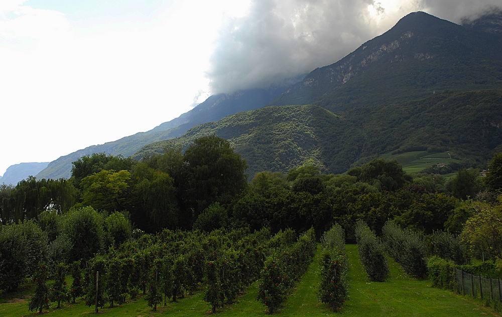 Gardens of Italy. Alpes.