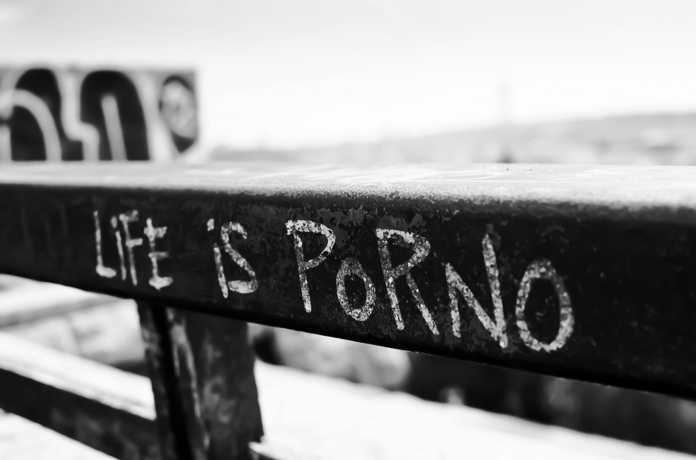 Life is porno