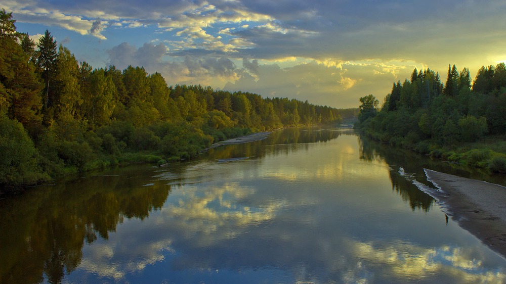 золотой ветерок