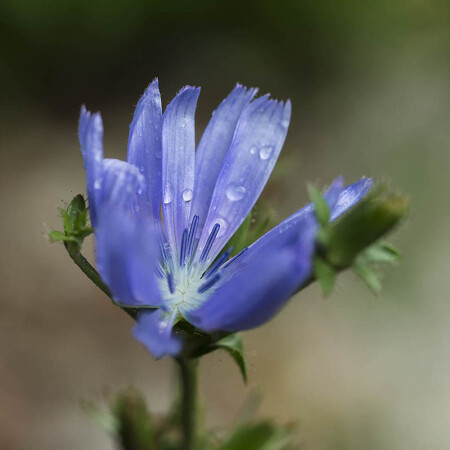 Под дождиком