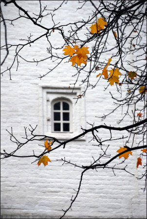 Окно в осень