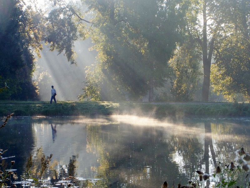 Утренняя прогулка