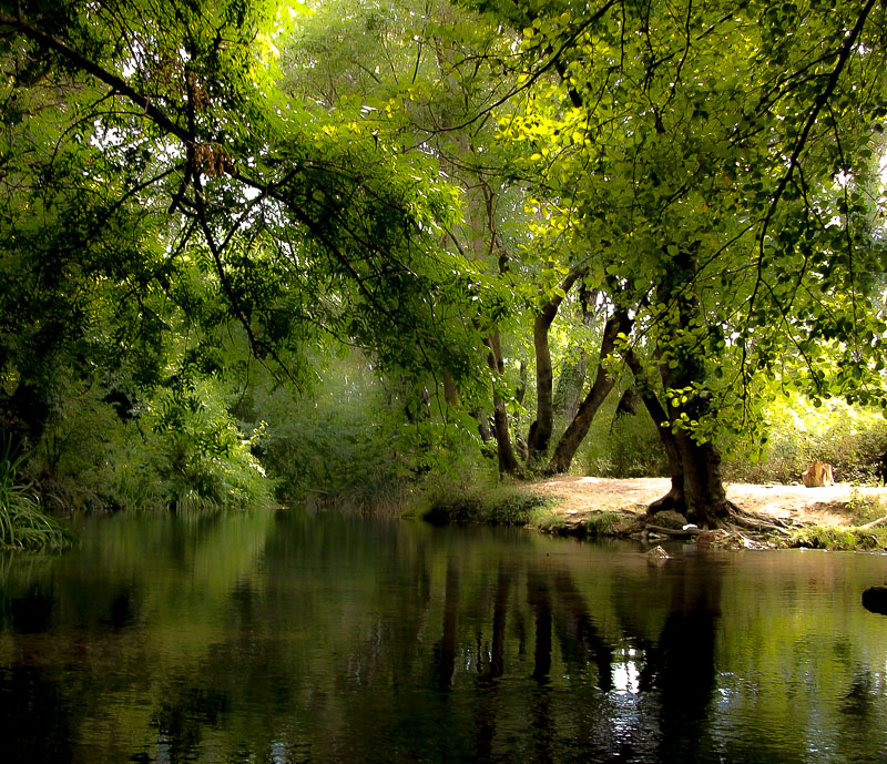 Black River. Крым.