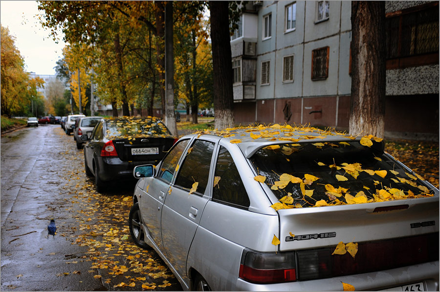 Падают листья...