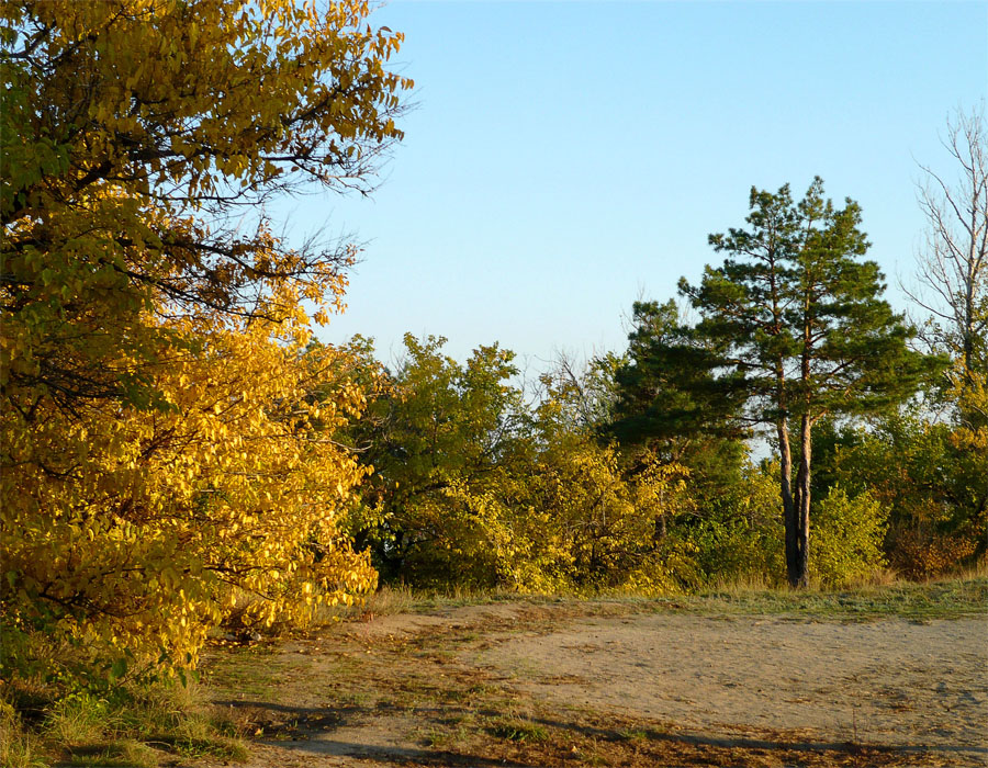 Осеннее тепло