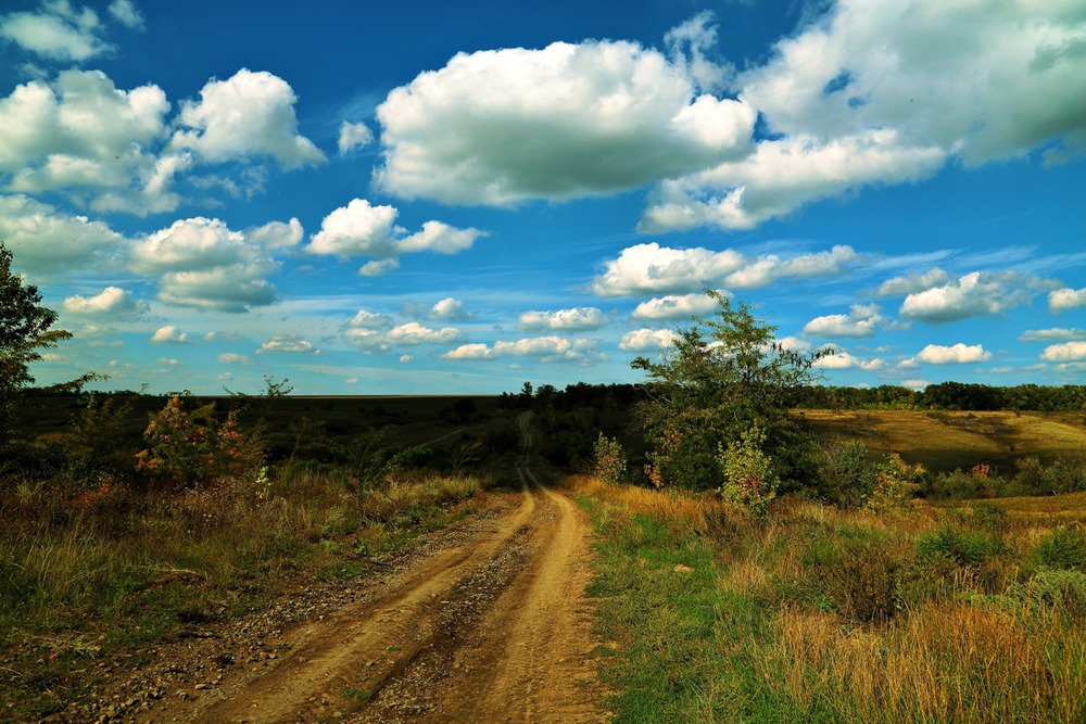 Небо в зефирах