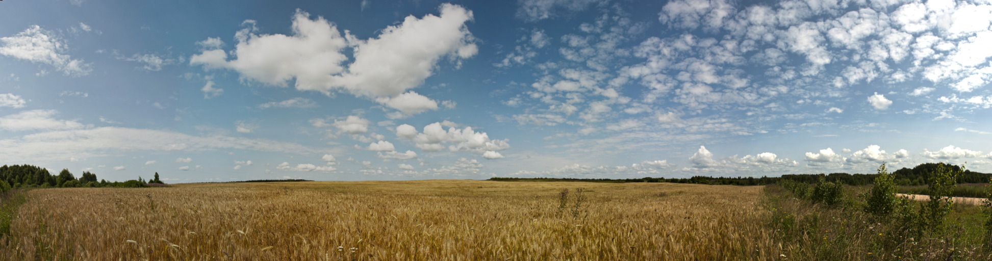 Родной край