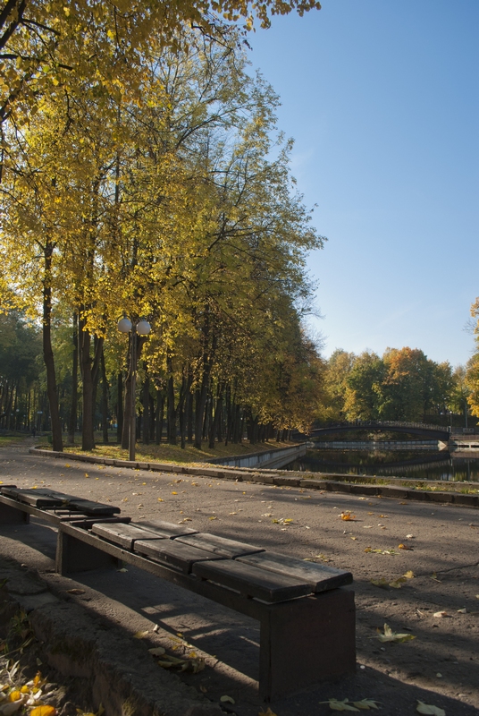 В старом парке