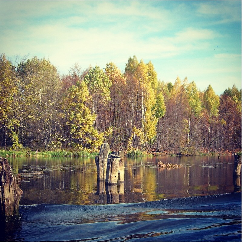 Золотая осень.