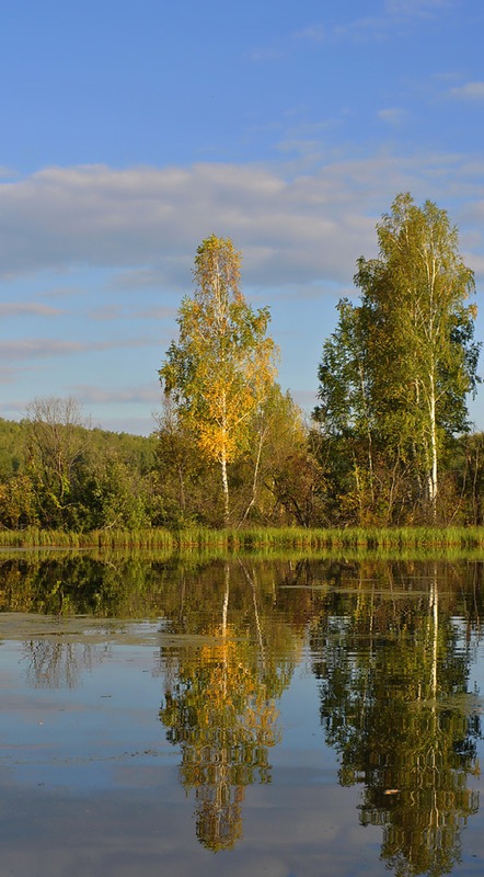 Примерка осеннего наряда