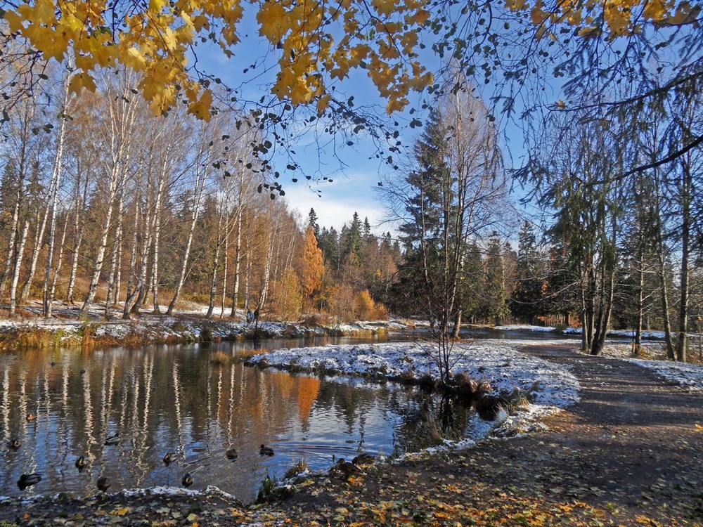 Первый снежок