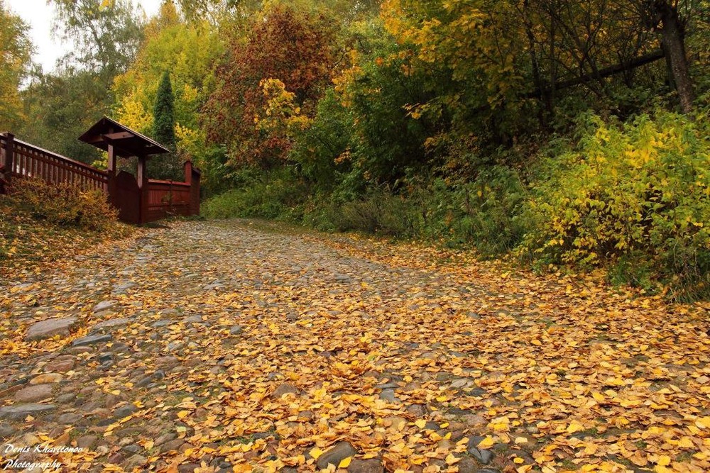 Осень в г.Плёс