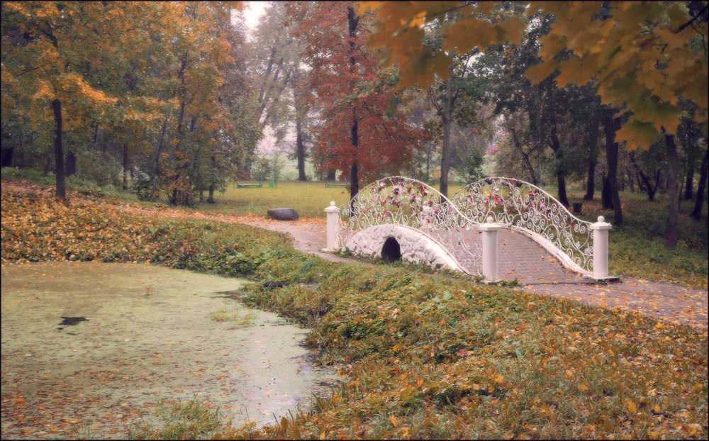 Вот и Осень