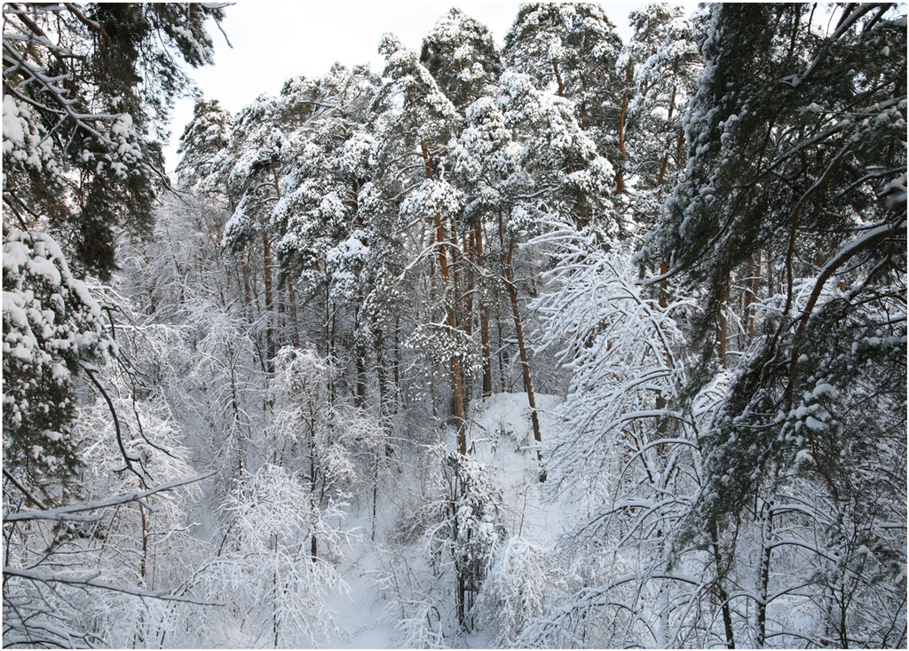 Замело