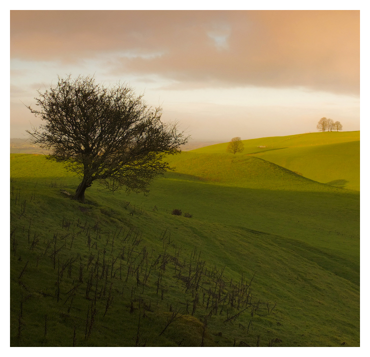 ...slopes &amp; shadows...