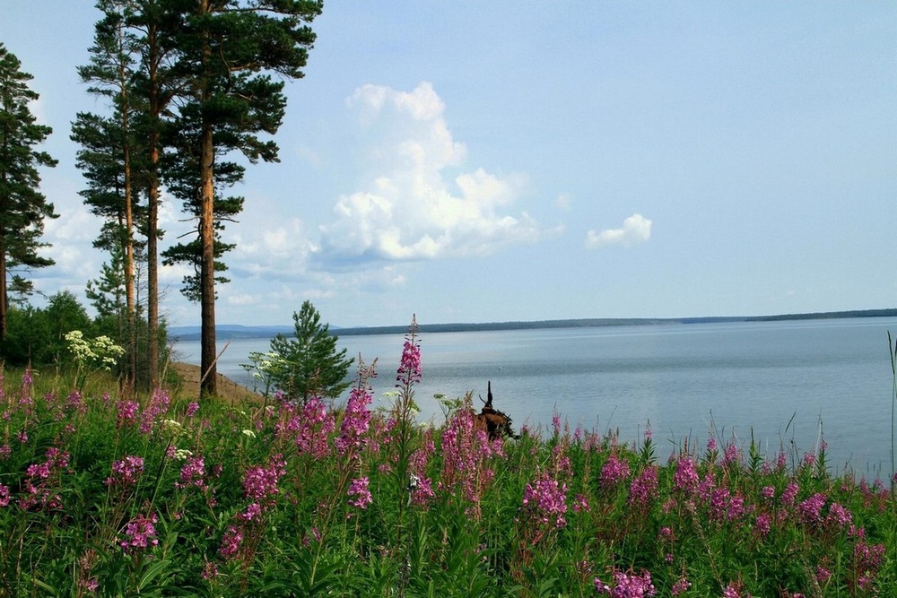 Элегия. (Российская глубинка)